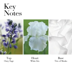 White Tea Eau de Toilette