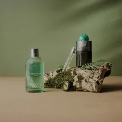 Wild Mint & Lavandin Bath & Shower Gel