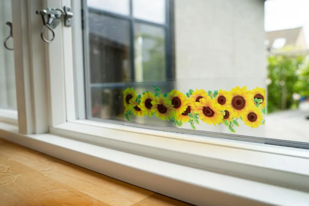 Window flytrap