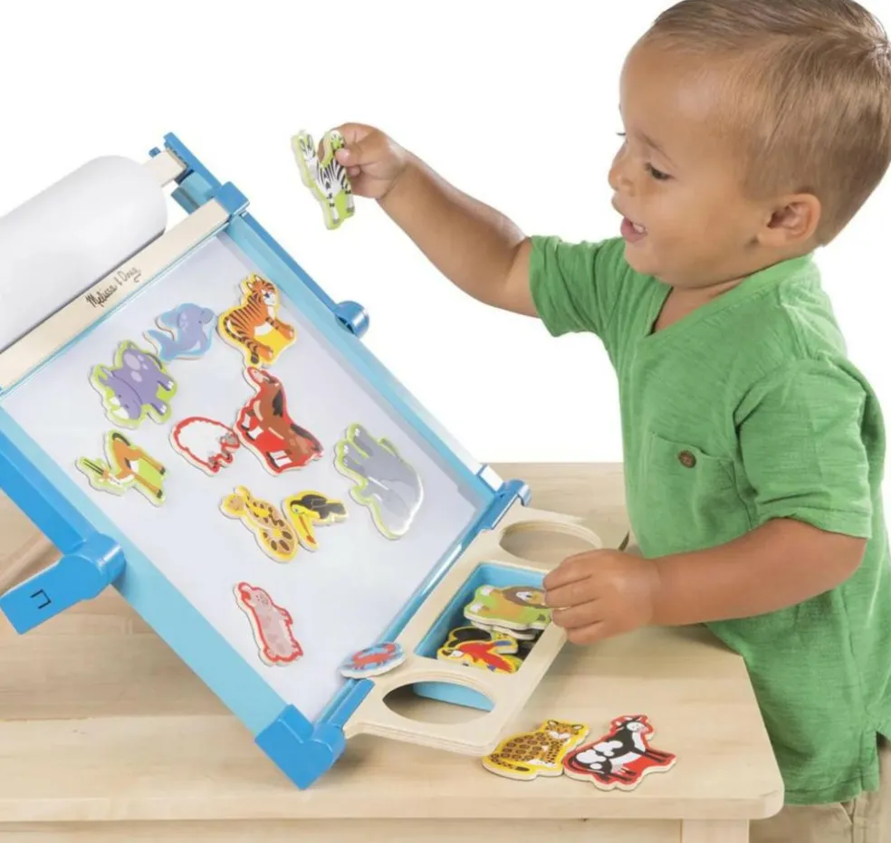 Wooden Magnets in a Box Animal
